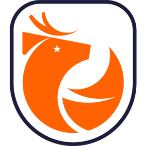 Liga de Primera Itaú Chile